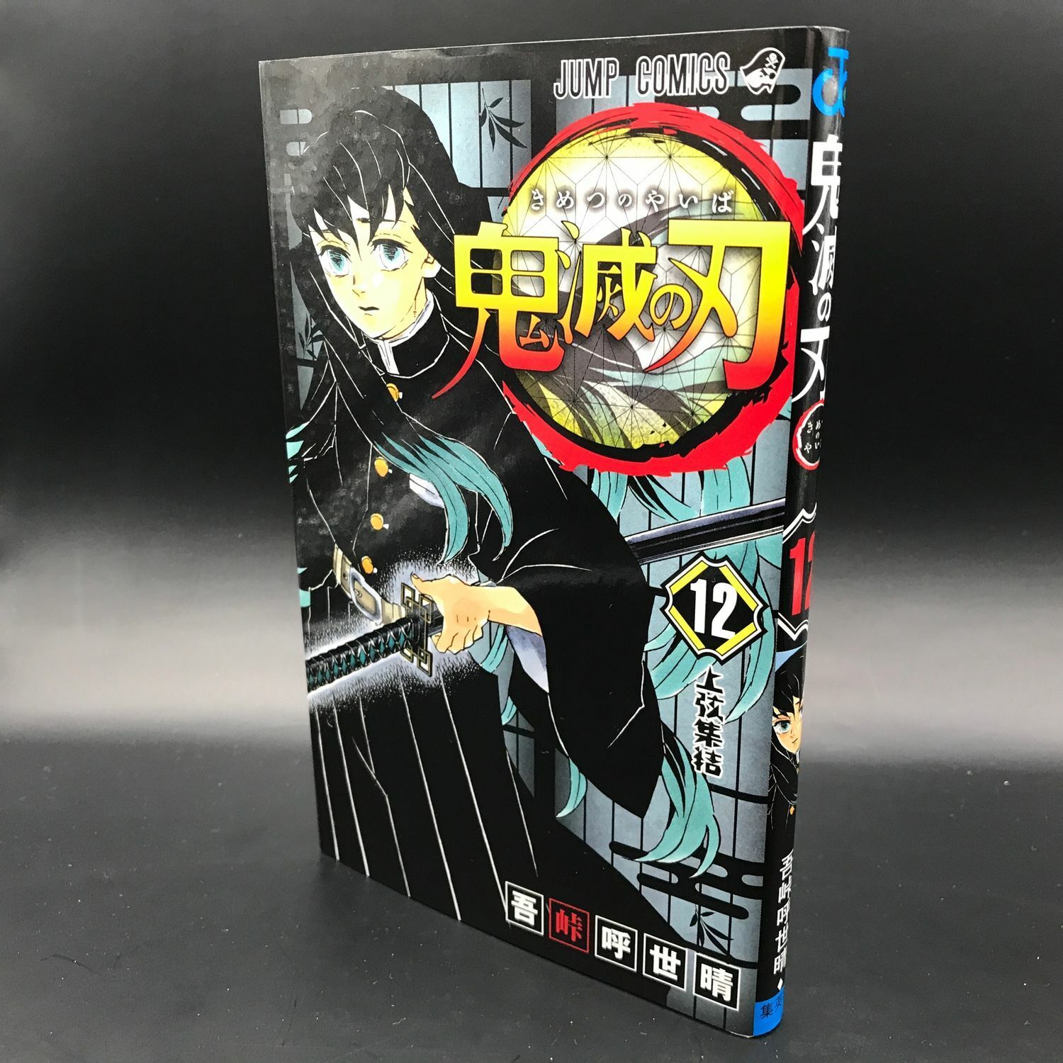 Demon Slayer: Kimetsu No Yaiba, Vol. 12: Volume 12