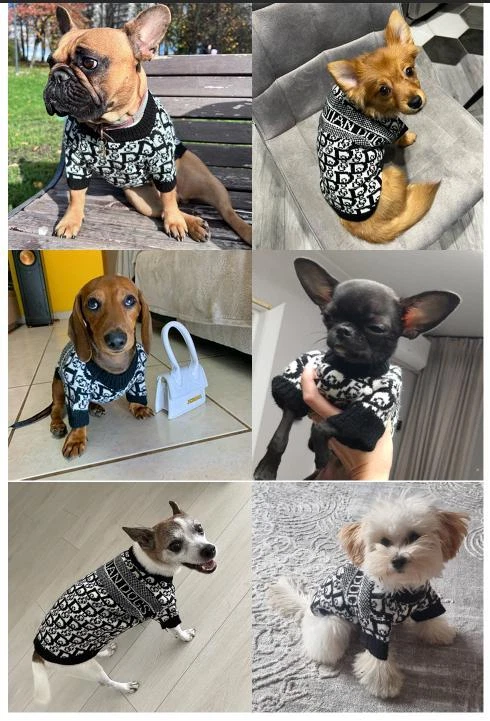 Designer Dog Fashion 