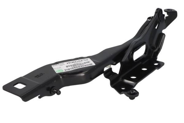both sides BLIC 6802-00-2593451P Hinge, bonnet for FORD USA
