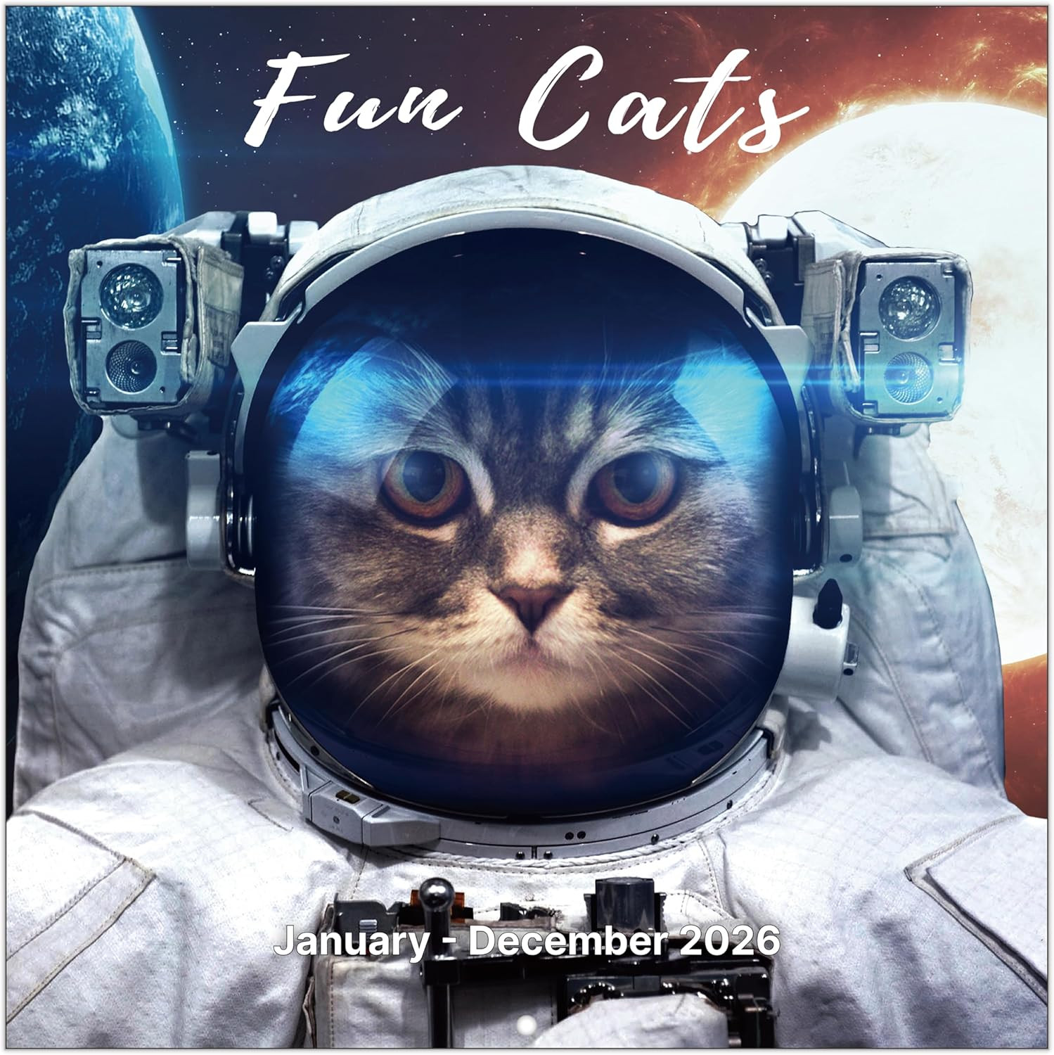 2026 Calendar 2026 Wall Calendar Fun Cats Calendar 2026 S L1600 
