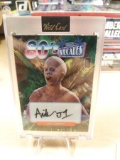 Wild Card Decades 80's 1/1 Ari Lehman Young Jason Friday the 13th 2024 Auto