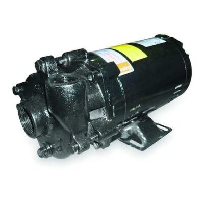 Dayton 2Zwn9 Cast Iron 1/3 Hp Centrifugal Pump 115/230V