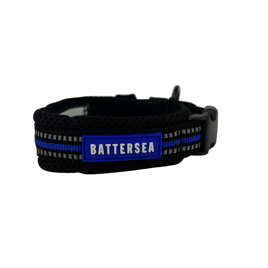 Battersea Reflective Dog Collar Blue M