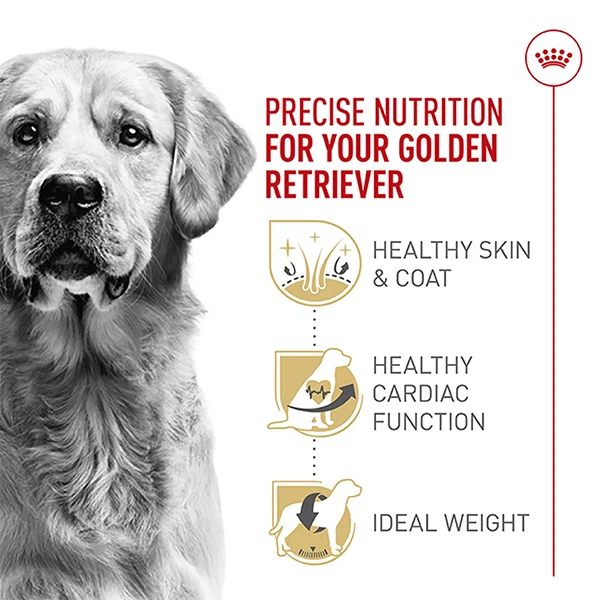 Royal Canin Breed Health Nutrition Golden Retriever Adult Dry Dog Food 30 Lb - Image 4 of 4