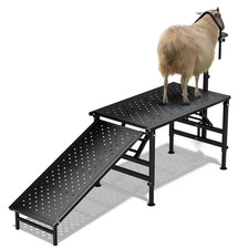 Professional Goat Milking Stand with Ramp, 600LBS Heavy Duty Foldable Livestock