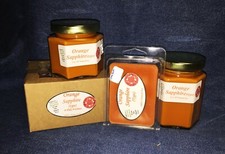 NEW Hand Poured Tropical Scented Soy Candles Tarts Votives - Orange Sapphire