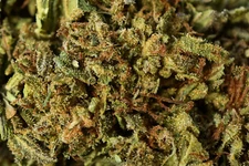 4 Oz. ( 1/4 lb.)  Beyond Organic HEMP TEA Loose Leaf - PURE OG