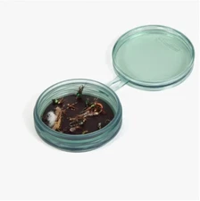FISHPOND SHALLOW MAGPAD FLY PUCK IN SMOKE - SEE THROUGH LID + MAGNETIC BOTTOM