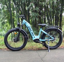 3000W Dual Motor E-Mountain Bike 52V 23AH 39 MPH 26" Fat Tire E-Bike for adults