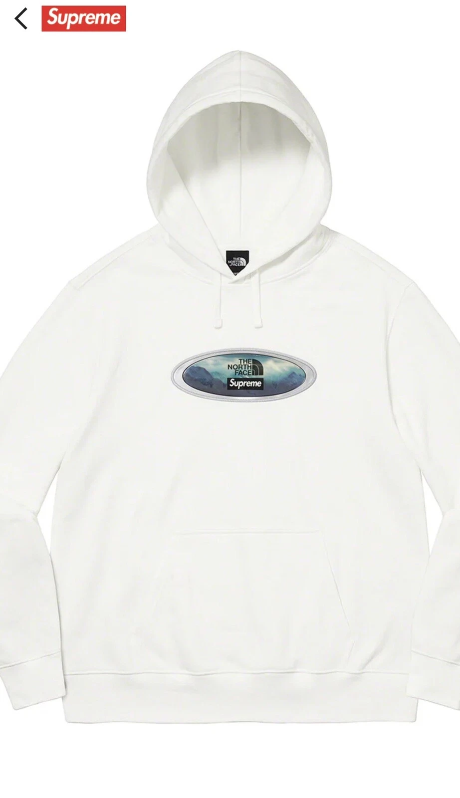 Sweat shirt à capuche Supreme x The North Face lenticular Mountains blanc homme taille L