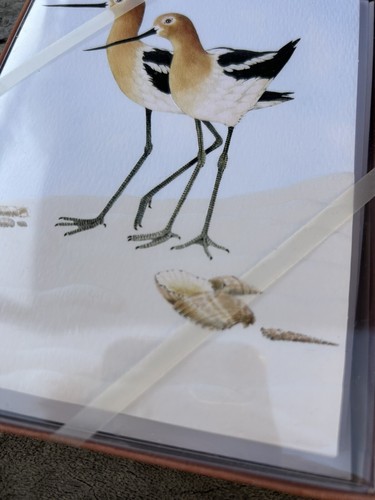 Beach Birds/Nature/Ocean theme Blank Notecards and Envelopes Set of 9 - Picture 2 of 10