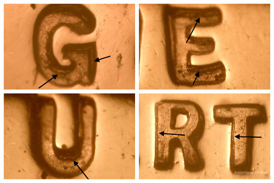 1956 DDO-008 Very Nice Doubled Die Obverse Nice Proof Lincoln Wheat Cent Error#1