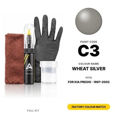 Touch Up Paint For Kia Pregio C3 Wheat Silver Full Kit Panel Touch Up Paint Kit