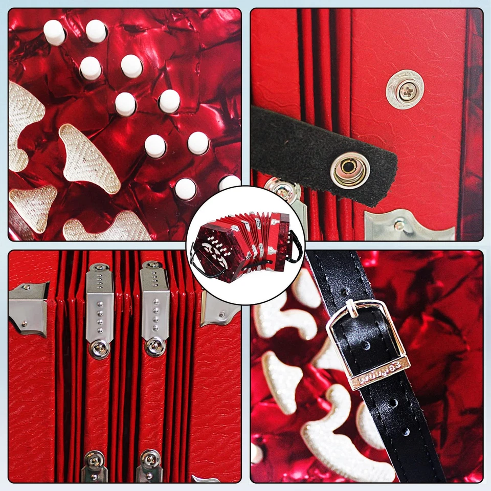 Concertinas, 20 Botones Acordeón Para Adultos Acordeón Profesional para Principiantes... Foto 4 de 4