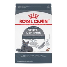 Royal Canin Feline Care Nutrition Dental Care Adult Dry Cat Food, 6 lb Bag