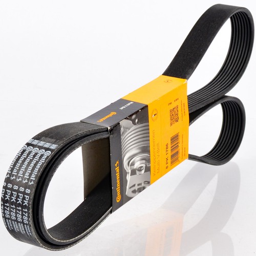 Contitech 7pk1770 Keilrippenriemen - Original Ersatzriemen