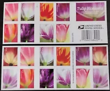 🔥🔥20 FOREVER FIRST CLASS LETTER STAMPS TULIP BLOSSOMS STAMPS MNH 2022🔥🔥