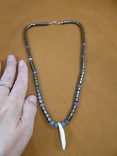 (W30-17) 1-1/2" real COYOTE wild dog T**th 6x6mm hematite bead 21" NECKLACE