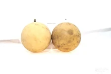 INGERSOLL RAND COMPANY 3 1/4” REPLACEMENT SANTOPRENE BALL NEW IN LOT OF 2 (H110)