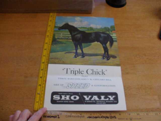 Triple Chick sire of SPEED Horse breeding contract 1960's color photo poster