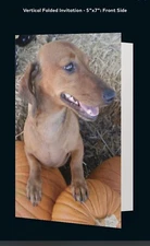 Dachshund Dog - Happy Thanksgiving - Animal Rescue Scrappy Dizzle Designz