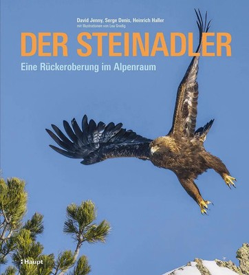 Der Steinadler Eine Rückeroberung im Alpenraum David Jenny (u. a.) Buch 280 S.