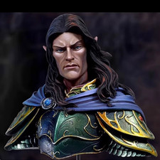 1/10 Scale Fantasy Elf Warrior Bust Resin Figure Painted Collectible Model