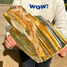 3.76LB  Adorable yellow zebra marble slice specimen