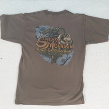Harley Davidson I Rode The Dragon T Shirt Size Large Gray Smokey Mountain TN 07 