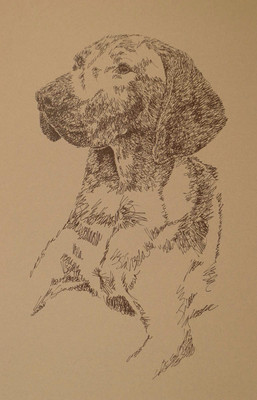 Vizsla Portrait - Rainbow Bridge Personalized Kline dog art lithograph. #31