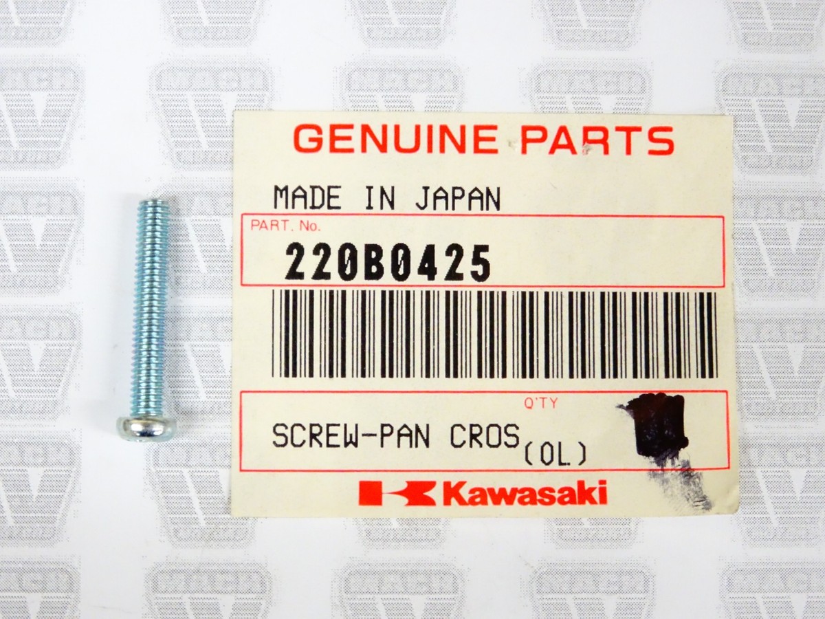 Kawasaki NOS NEW 220B0425 Pan Head Screw 4x25 H1 F6 KV KX KDX KLF