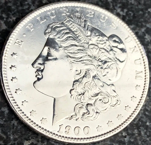 1900-P Morgan Silver Dollar Absolutely Super Nice Fine Detail 7 Tell Feathers