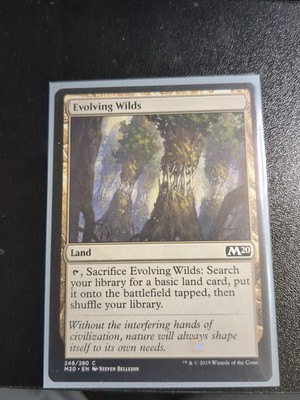 Evolving Wilds Core Set 2020 Regular