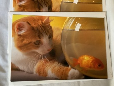 Vintage CURRENT Blank Greeting Cards Tabby Cat Watching Fish Bowl Lot of 7