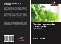 Harouna Coulibaly | Diagnosi Organizzativa Di Un'azienda | Taschenbuch (2021)