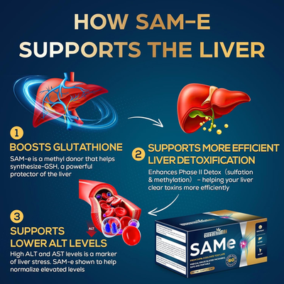 s adenosylmethionine glutathione Methionine Adenosyltransferase 1A and S-Adenosylmethionine in  Alcohol-Associated Liver Disease main image 1