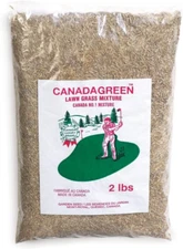 Canada Green Grass Lawn Seed - Grows Healthy Rich Green Grass Lawn Seed Plants Y