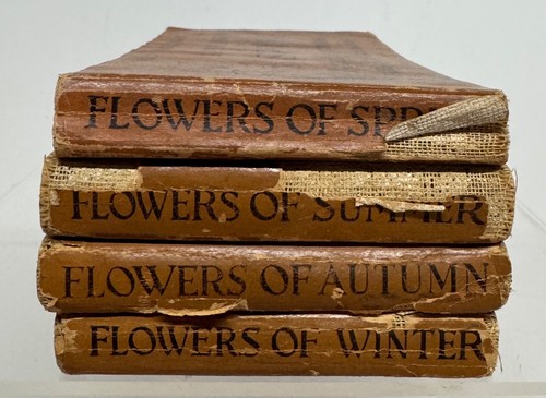 Pocket Library Garden Library 4 Seasons Ellen Eddy Shaw 1917 - Picture 4 of 18