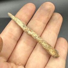 Rare ancienne tête de flèche romaine en bronze utilisée pendant la bataille