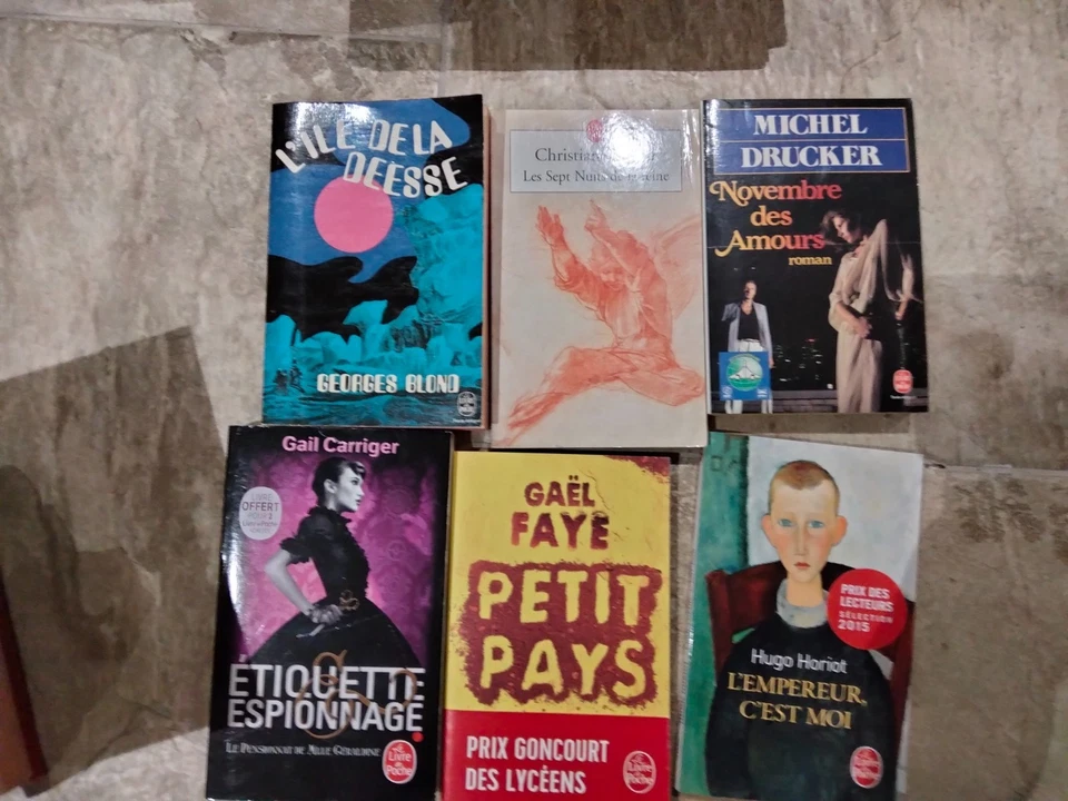 LOT 20 LIVRES poche , collection POCHE , en bon état ( 100) - Photo 2/4