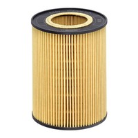 Hengst Filter ÖLfilter E34H D213 Filtereinsatz FüR 95 DB CF Ginaf Vacanza VAN XF