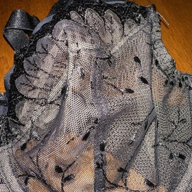 NWT Aubade Black Lace Noir Push Up Bra 36D 