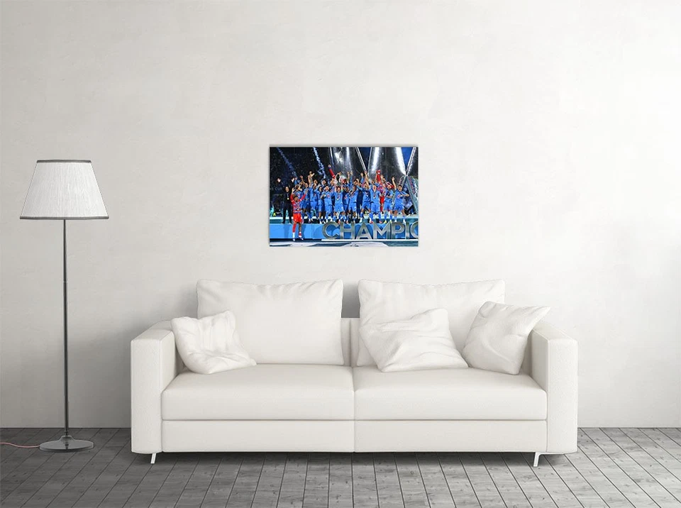 Cruz Azul Liga Mexicana de Fútbol Campeones Trofeo Celebrar Pared - PÓSTER 20"x30" Foto 2 de 3