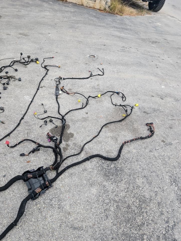 Body Wiring Harness (For Pigtails) 2005 Bentley Continental GT 03-10 For Parts X
