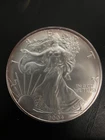 2004 American Eagle Walking Liberty Silver  Dollar Coin 1 oz .999 Silver