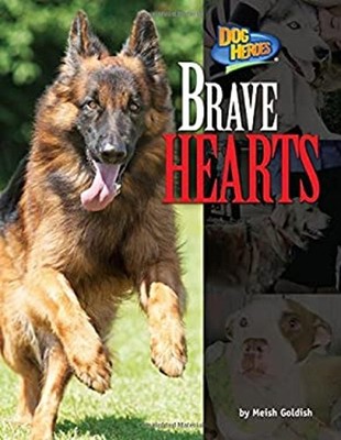 Brave Hearts Library Binding Meish Goldish
