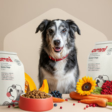 Vegan Senior Dog Dry Food – Omni – 2kg 10.00 per kilo