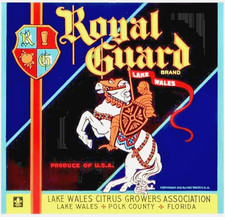 Vintage Original Royal Guard Brand Citrus Label Dealers Lot of 100 8.5 x 9 1932
