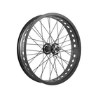 Easy Front Fat Bike Wheel 20x4 Axle 3/8, Balls, Steel Hub, Aluminum Rim, Black