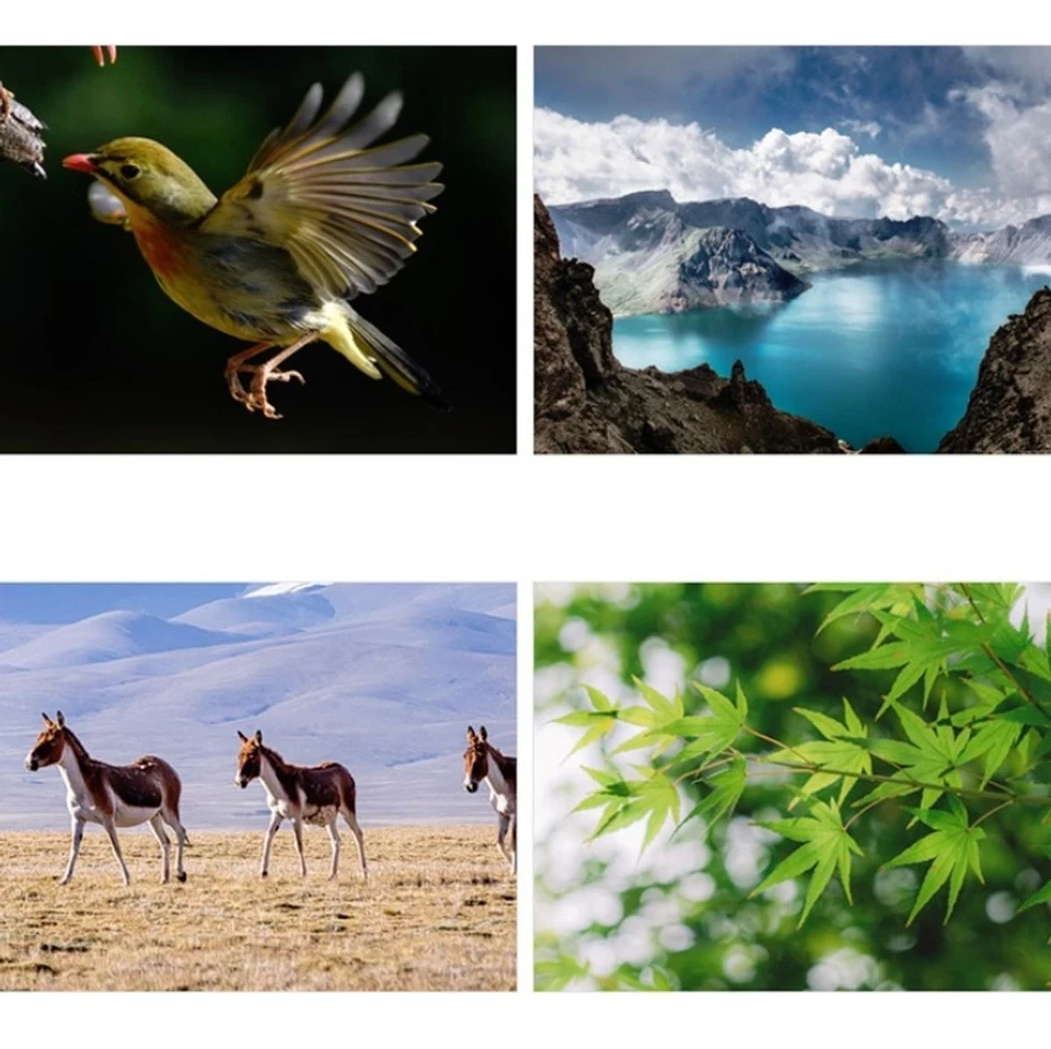 Mini Teleskop Fernrohr 40-fach mit Dreibein Stativ leicht für Kinder geeignet - Bild 4 von 4